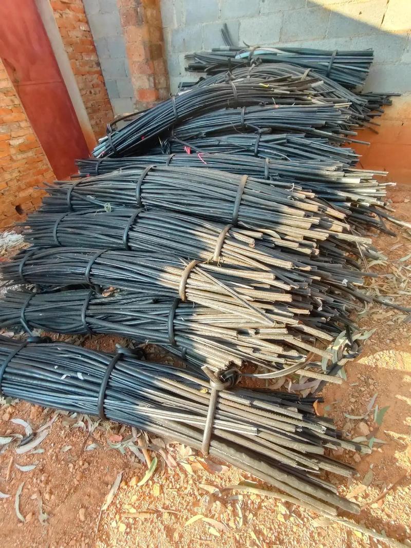 bt mulu.cn 您可以提供更多信息