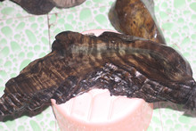 国产精品久久亚洲不卡 平台也能提供稳定的国产服务