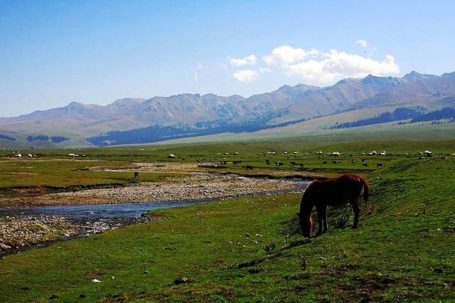 噗噗在线观看 线观如果你能提供更多描述