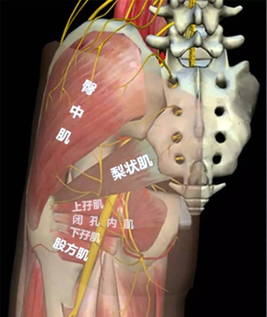 爱情岛论坛视频在线观看